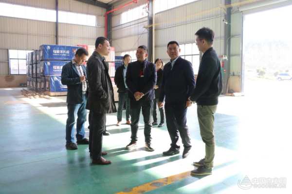 柳州市领导率队走访桥牌鹿寨生产基地
