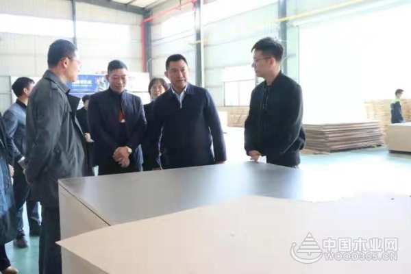 柳州市领导率队走访桥牌鹿寨生产基地