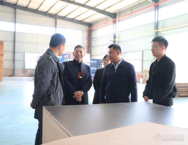 柳州市领导率队走访桥牌鹿寨生产基地