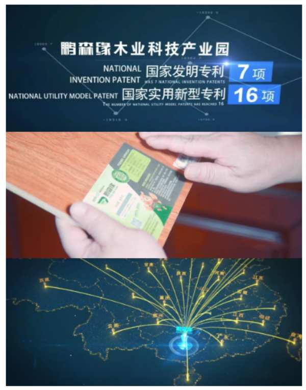 深入交流|鹿寨统战部一行莅临鹏森缘木业产业园考察指导工作
