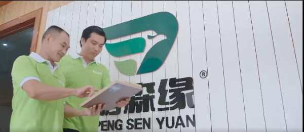 深入交流|鹿寨统战部一行莅临鹏森缘木业产业园考察指导工作