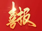 品牌·品质·品味 | 连续6年 平安树再获“上海市装饰装修行业信得过企业”荣誉称号！