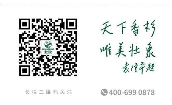 做匠人 践匠情——壮象董事长叶新忠在中国匠心大会上专访！