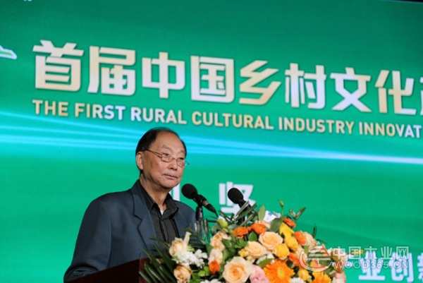  壮象董事长叶新忠受邀参加首届中国乡村文化产业创新发展大会并发言