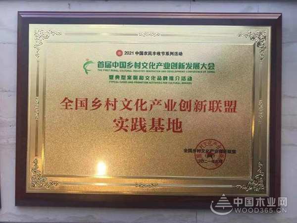  壮象董事长叶新忠受邀参加首届中国乡村文化产业创新发展大会并发言