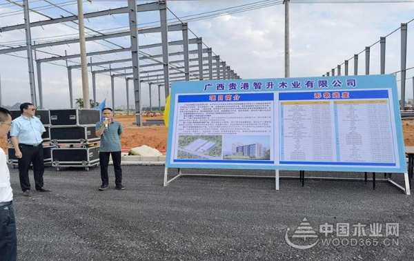 广西贵港智升木业建设火热 年底将投入试生产