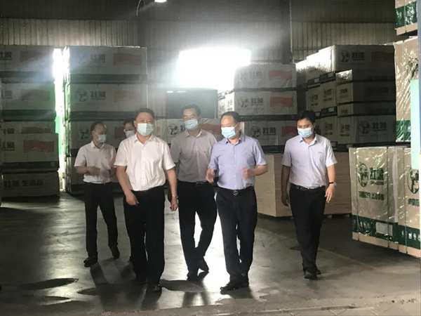 柳州市委副书记一行莅临板材十大品牌壮象考察指导