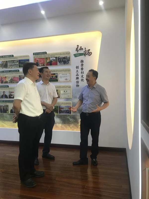 柳州市委副书记一行莅临板材十大品牌壮象考察指导