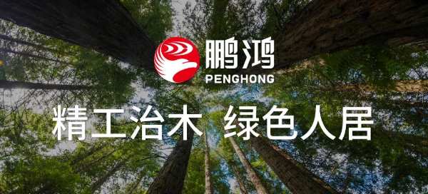 以使命之责，对话初心——揭秘“不一样”的鹏鸿