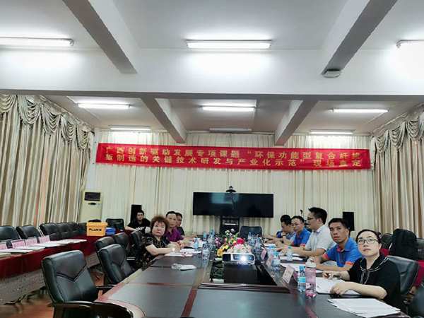 人造板业转型再升级|丰林集团“广西创新驱动发展专项课题”通过现场查定