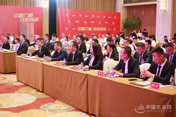“中国力量 成就高端” 大王椰正式成为中国羽毛球队官方供应商