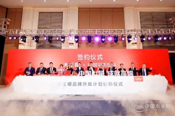 “中国力量 成就高端” 大王椰正式成为中国羽毛球队官方供应商