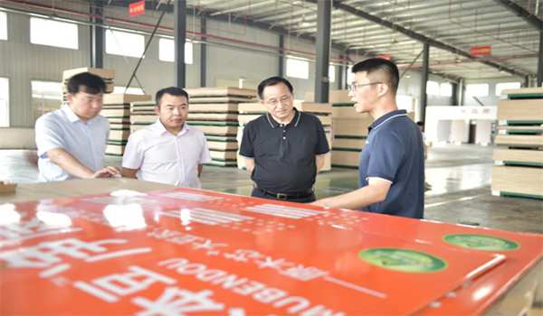 热烈欢迎中国木材保护工业协会会长刘能文一行莅临福庆参观考察指导