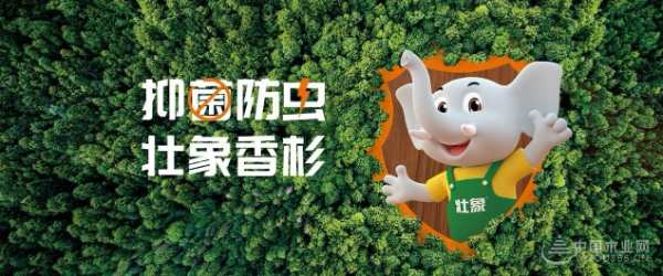 喜讯！壮象木业董事长叶新忠荣获广西“最美企业经理人”称号！