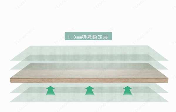 兔宝宝生态板VS家具板