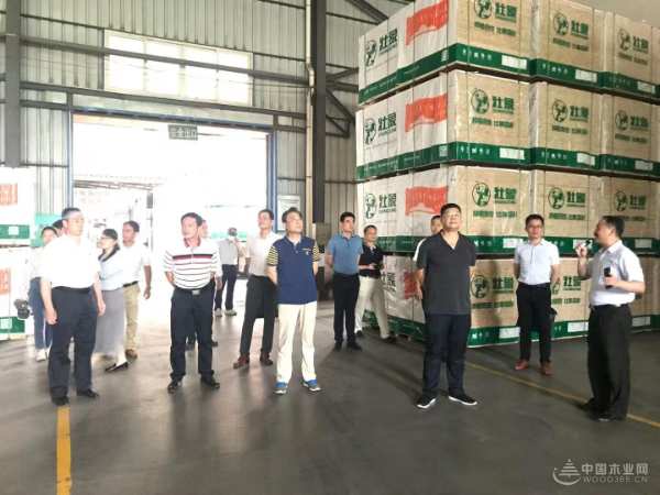 广西壮族自治区工业振兴特派员赴壮象木业考察调研