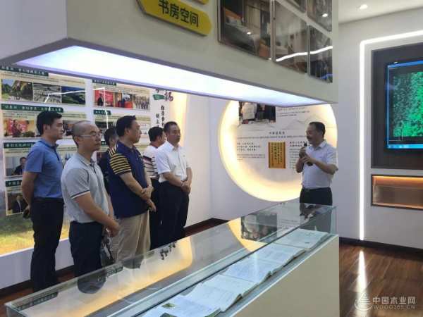 广西壮族自治区工业振兴特派员赴壮象木业考察调研