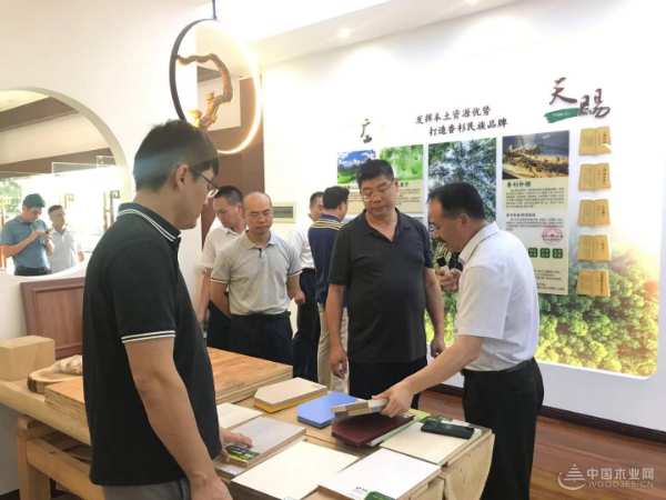 广西壮族自治区工业振兴特派员赴壮象木业考察调研