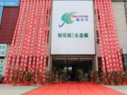 露水河板材新零售直营店挂牌营业