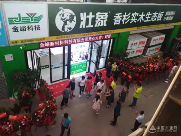 高歌猛进 壮象长沙蓝天建材市场新店盛大开业