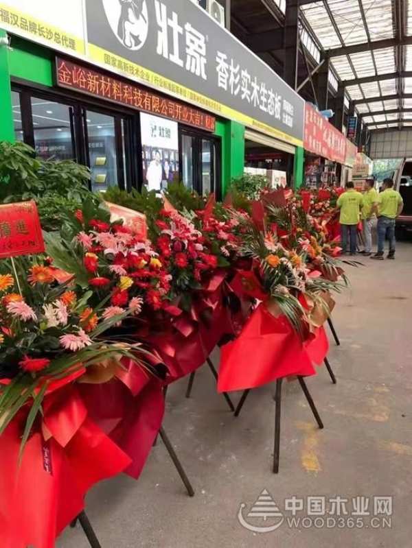 高歌猛进 壮象长沙蓝天建材市场新店盛大开业