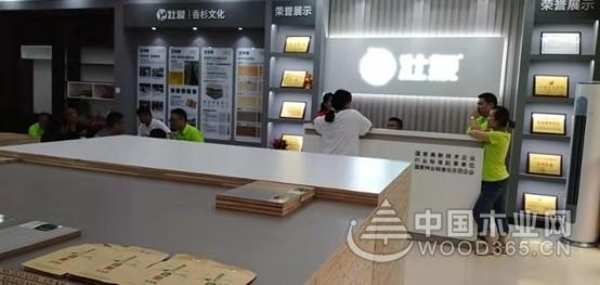 高歌猛进 壮象长沙蓝天建材市场新店盛大开业