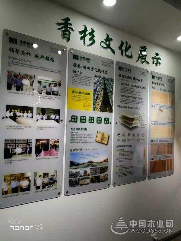 再添新店！贵州省铜仁市壮象家居金滩店盛大开业