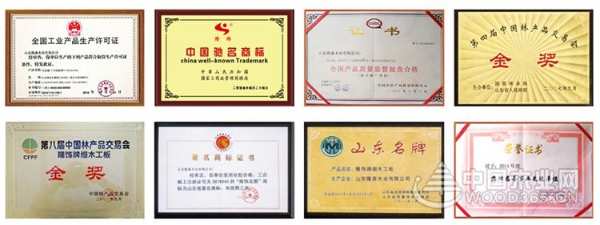 官宣了！联袂共拓，优势赋能！隆饰板材正式携手中国木业网！