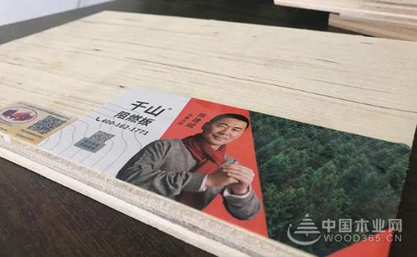 安全环保双保险！千山阻燃板助推品质工程建设！