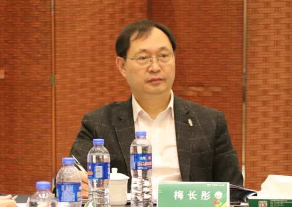 标准新升级丨千年舟集团举办《定向刨花板》国家标准研讨会