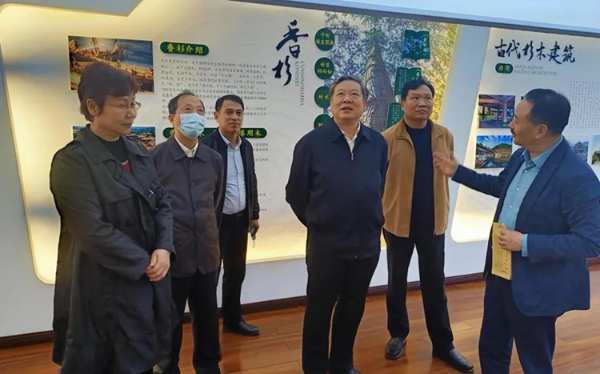自治区人大领导到壮象调研