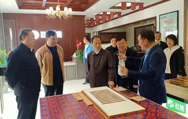 自治区人大领导到壮象调研