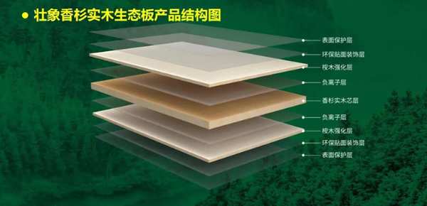 自治区人大领导到壮象调研