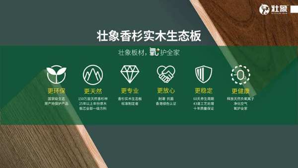 自治区人大领导到壮象调研