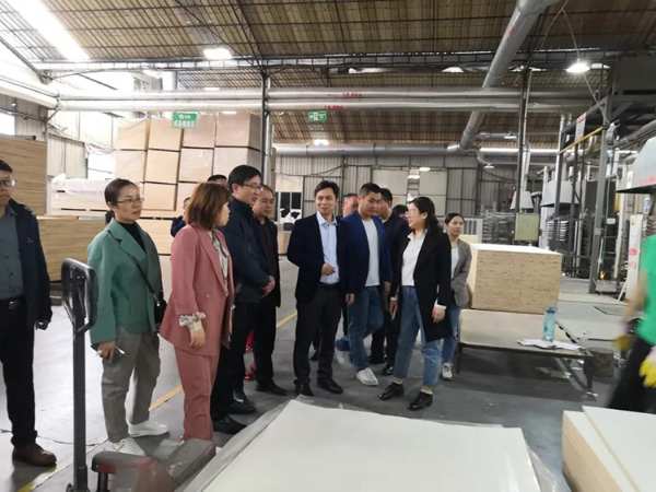 十大板材品牌|壮象迎来桂林龙胜县考察团