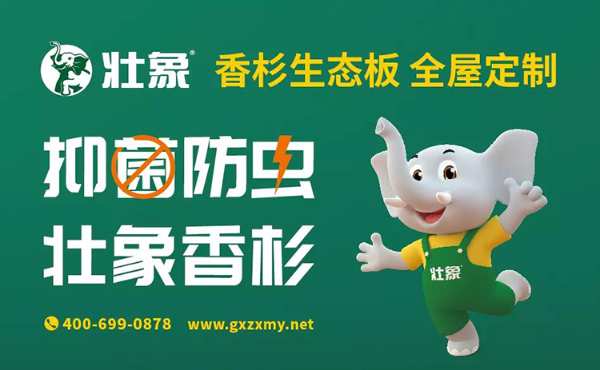 十大板材品牌|壮象迎来桂林龙胜县考察团