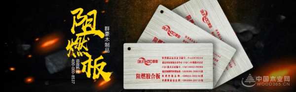 共谱品牌新篇章 群豪木业再度携手中国木业网
