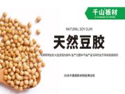 千山板材带你了解大豆胶多层板