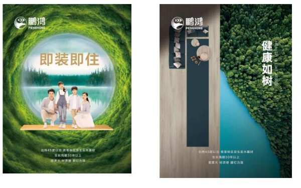 再获行业肯定，鹏鸿荣任中国木材与木制品流通协会副会长单位