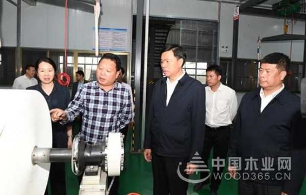 喜迎贵客 广西钦州市委书记许永锞莅临伟新集团佳昌木业