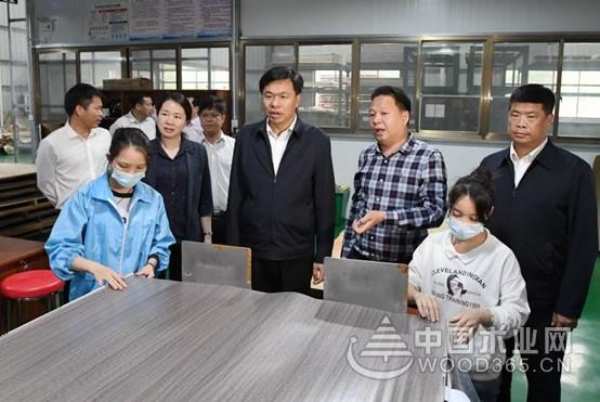 喜迎贵客 广西钦州市委书记许永锞莅临伟新集团佳昌木业