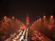 品质护航 匠心筑家，诚信315，品质万里行，兔宝宝 让家更好！