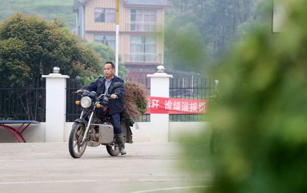 十大生态板壮象捐赠树苗助力乡村振兴！