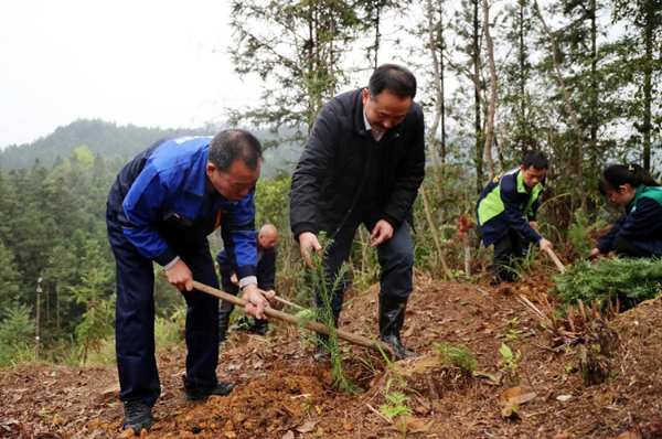 十大生态板壮象捐赠树苗助力乡村振兴！