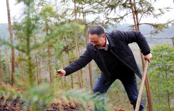 十大生态板壮象捐赠树苗助力乡村振兴！