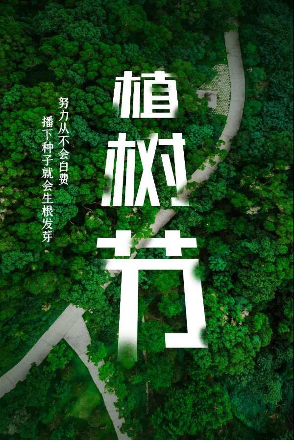 植树节 | 安氏亚森板材“源于自然·回馈自然”