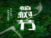 植树节 | 安氏亚森板材“源于自然·回馈自然”