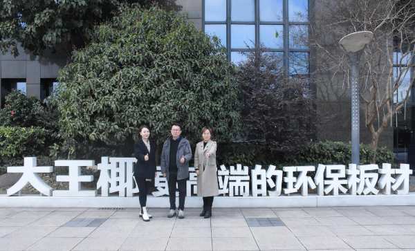 多渠道赋能  大王椰市场全面开花