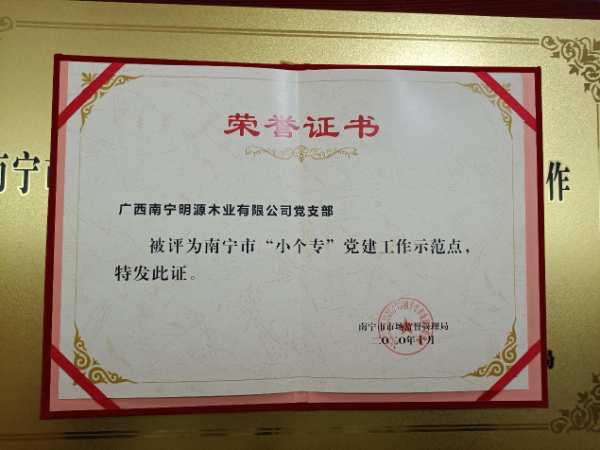 喜讯！广西明源木业荣获南宁市“小个专”党建示范点称号