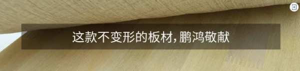 鹏鸿年鉴 ② | 造物有道，新品研创以质取胜